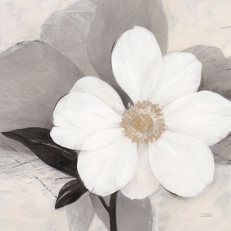 Picture of MIDDAY BLOOM