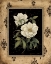 Picture of SILVER PEONY
