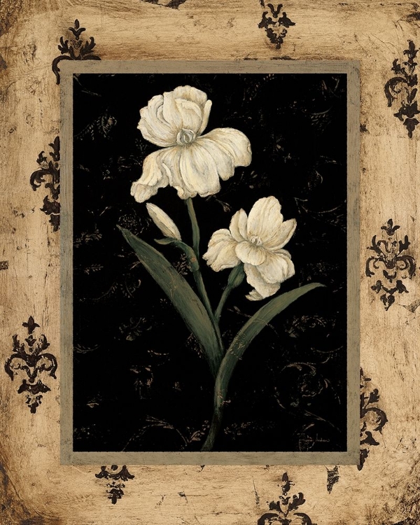 Picture of SILVER IRIS