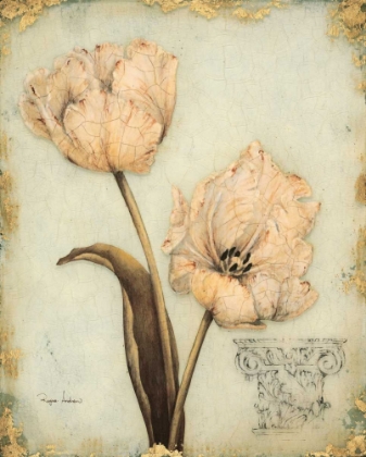 Picture of TULIP RECOLLECTION