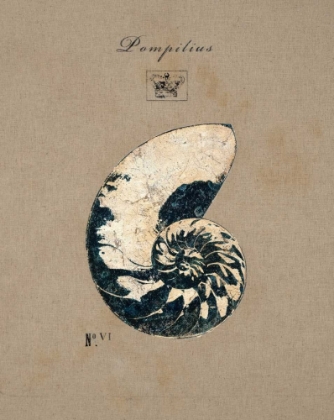 Picture of VINTAGE LINEN NAUTILUS