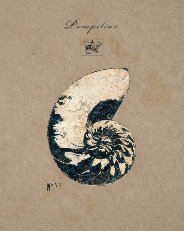 Picture of VINTAGE LINEN NAUTILUS
