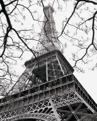 Picture of SPRING - LA TOUR EIFFEL