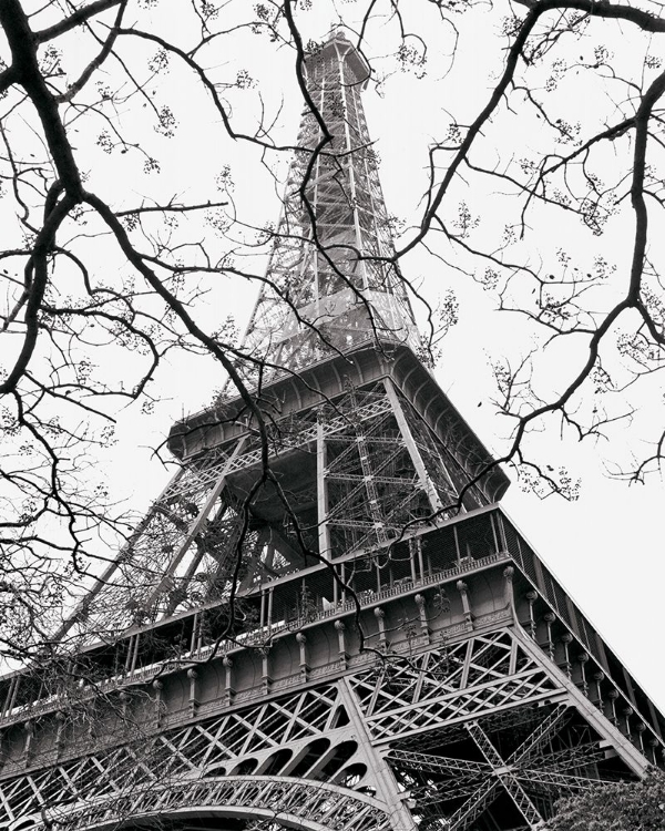 Picture of SPRING - LA TOUR EIFFEL