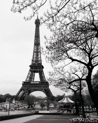 Picture of SUMMER - LA TOUR EIFFEL