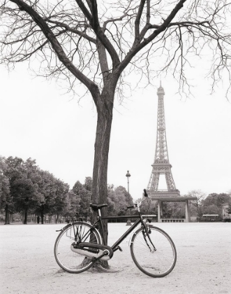 Picture of RIDE TO THE TOWER