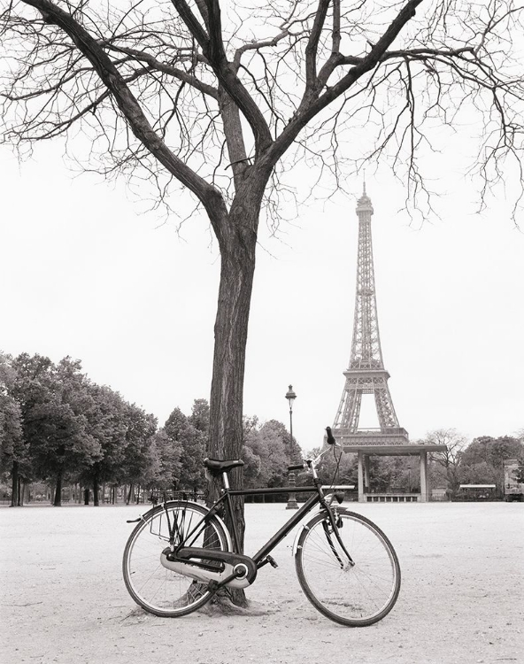 Picture of RIDE TO THE TOWER