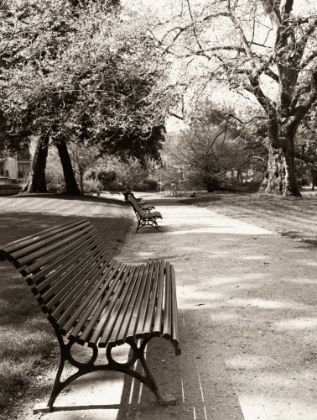 Picture of APRIL IN PARIS