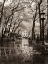 Picture of APRIL SHOWERS
