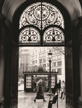 Picture of FILIGREE IRON DOORS