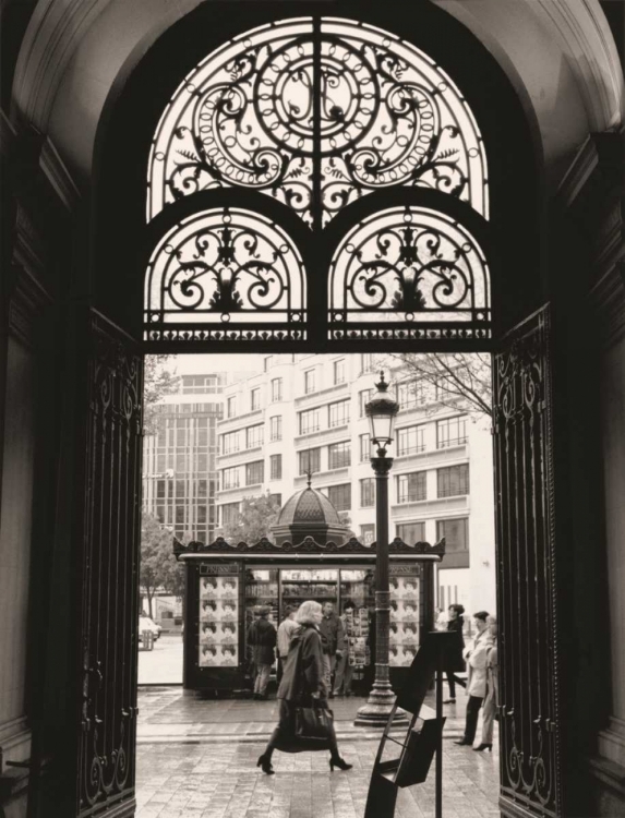 Picture of FILIGREE IRON DOORS