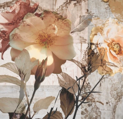 Picture of BLOOMING DAYS
