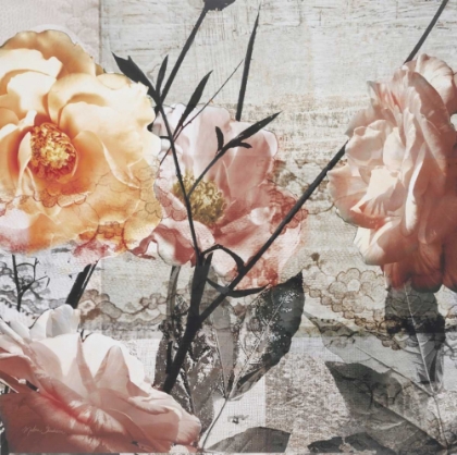 Picture of DAYS OF ROSES