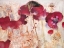 Picture of DREAMTIME POPPIES 