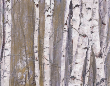 Picture of BIRCH TREE GROVE