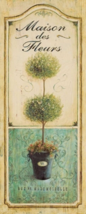 Picture of MAISON TOPIARY 