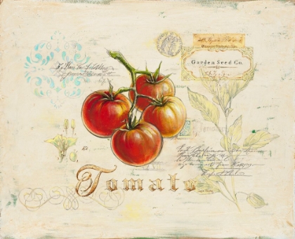 Picture of TUSCAN TOMATO