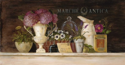 Picture of MARCHE ANTICA VIGNETTE