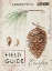 Picture of NATURES PINECONE