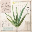 Picture of ALOE VERA-SKETCHBOOK