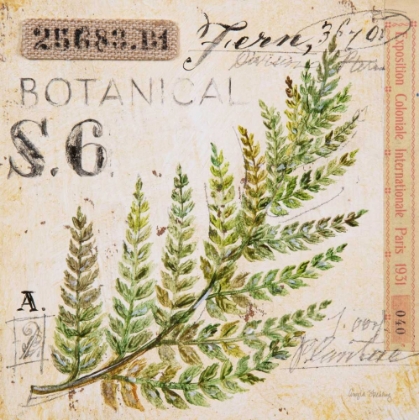 Picture of FERN LEAF-SKETCHBOOK