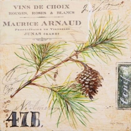 Picture of FIR BRANCH-SKETCHBOOK