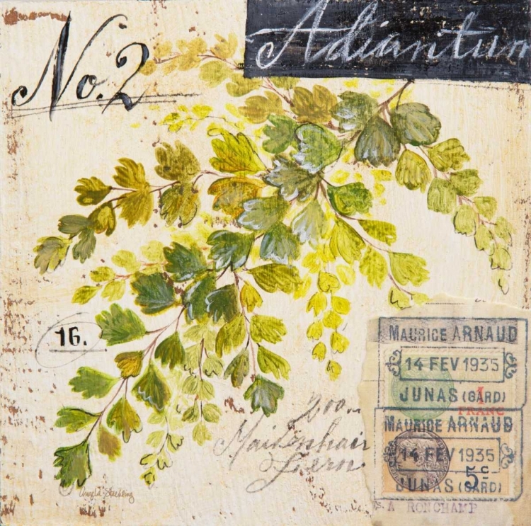 Picture of MAIDENHAIR FERN-SKETCHBOOK