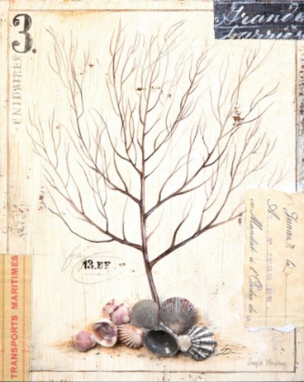 Picture of CORAL SKETCHBOOK
