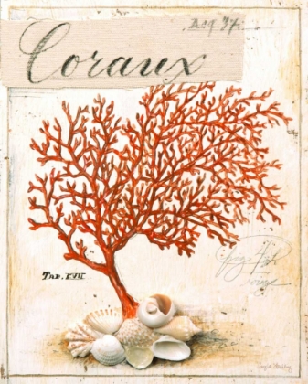 Picture of CORAL NO.5 SKETCHBOOK