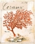 Picture of CORAL NO.5 SKETCHBOOK