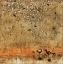 Picture of WHIMSICAL BIRDS 