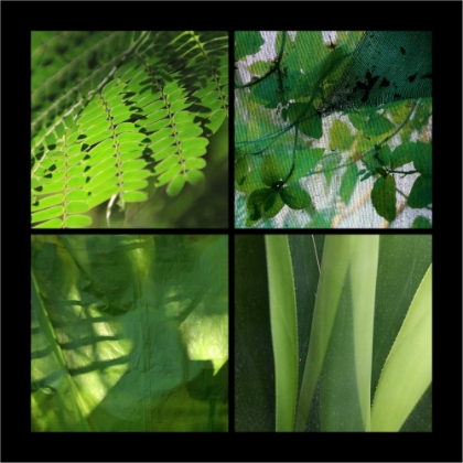 Picture of FRESH GREEN