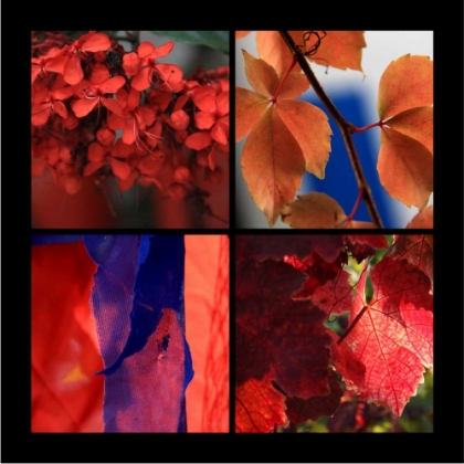 Picture of RED AUTUMN