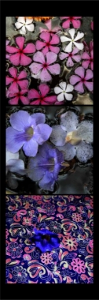 Picture of FLORAL POND