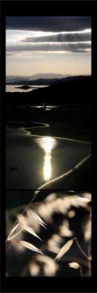 Picture of MOON LIGHT ENCHANTMENT 