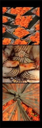 Picture of GLOBAL ORANGE