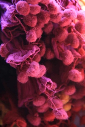 Picture of GLOBAL PINKS 1