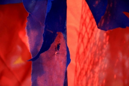 Picture of RED AUTUMN 3