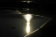 Picture of MOONLIGHT ENCHANTMENT 2