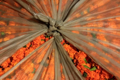 Picture of GLOBAL ORANGE 3