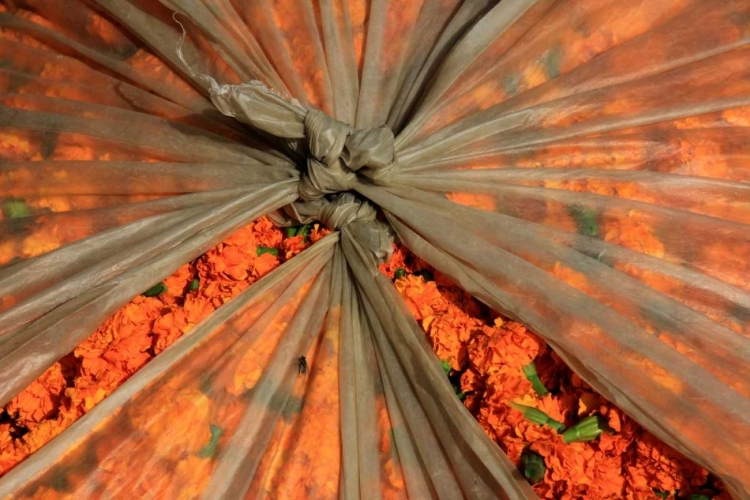 Picture of GLOBAL ORANGE 3