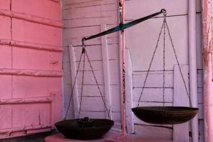 Picture of SCALES IN PINK