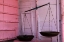 Picture of SCALES IN PINK