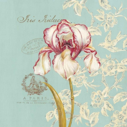 Picture of TOILE IRIS
