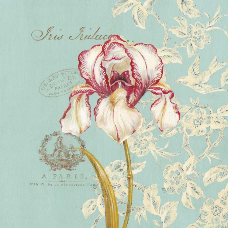 Picture of TOILE IRIS
