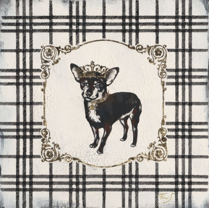 Picture of PLAID CHIHUAHUA