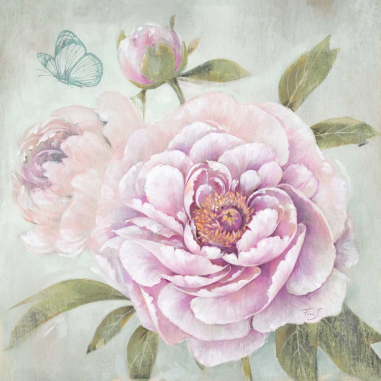 Picture of PEONY SHIMMER