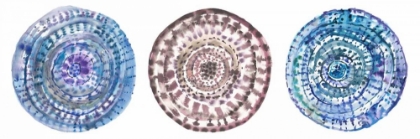 Picture of WATERCOLOR MANDALAS 1