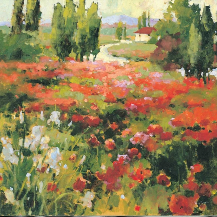 Picture of SUMMER MORNING