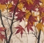 Picture of MAPLE STORY 1